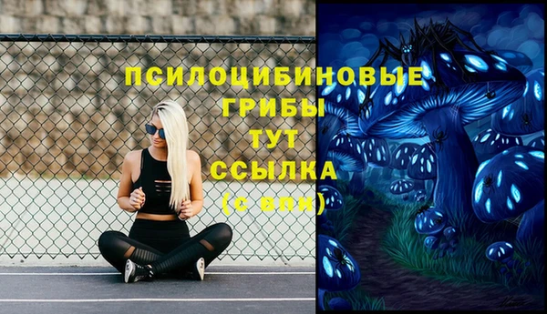 mix Абаза