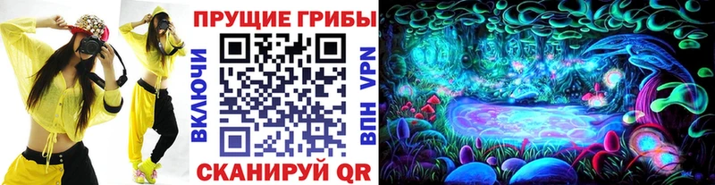 Галлюциногенные грибы ЛСД  Железноводск 